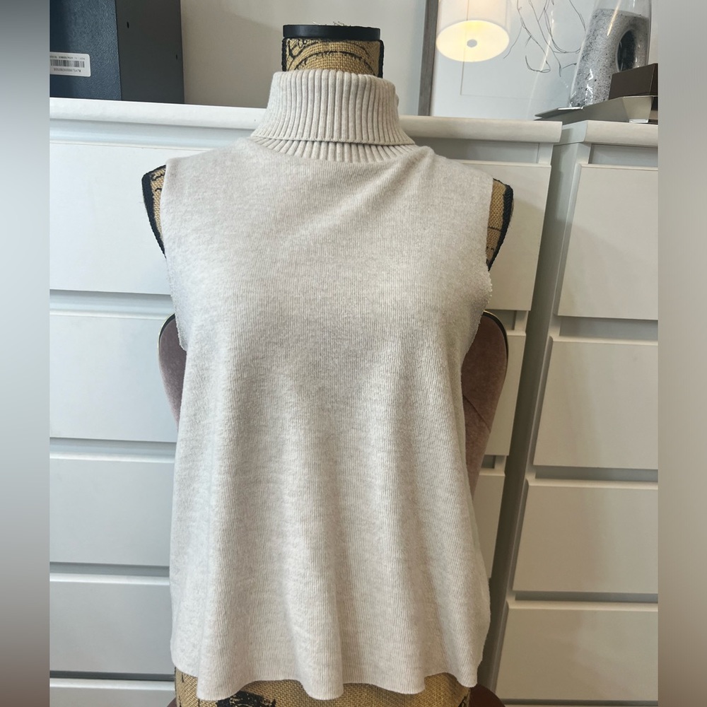 Zara Knit Turtleneck